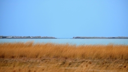 Λιμνοθάλασσα Αλυκή - Lagoon Aliki - Lagune Aliki